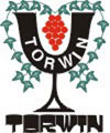 logo torwin